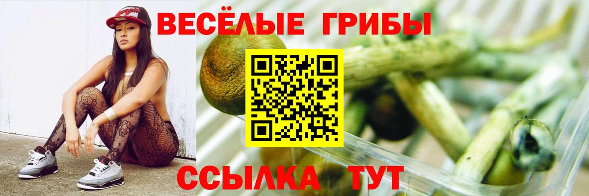 Псилоцибиновые грибы мухоморы  Вход с VPN  Дмитров 